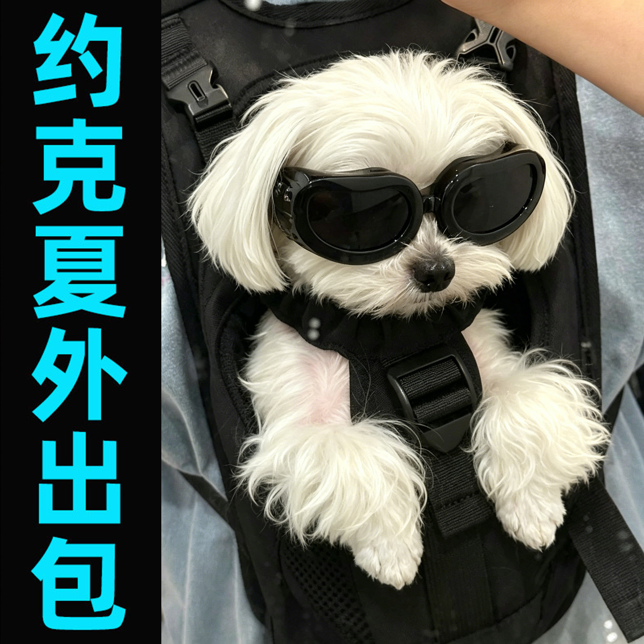 约克夏专用包小体狗狗小型犬外出便携双肩背包宠物背带胸前骑行包