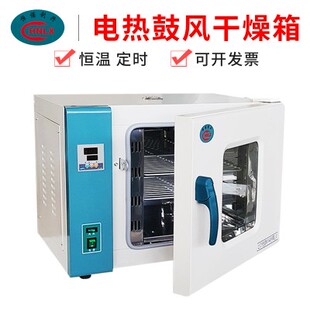 恒诺利兴小烘箱电热恒温鼓风干燥箱老化大灯烤箱实验室高温烘干机