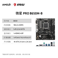 MSI Pro B650M-B