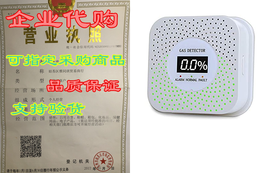 natural/propane gas detector, visual and aubible alarm ga