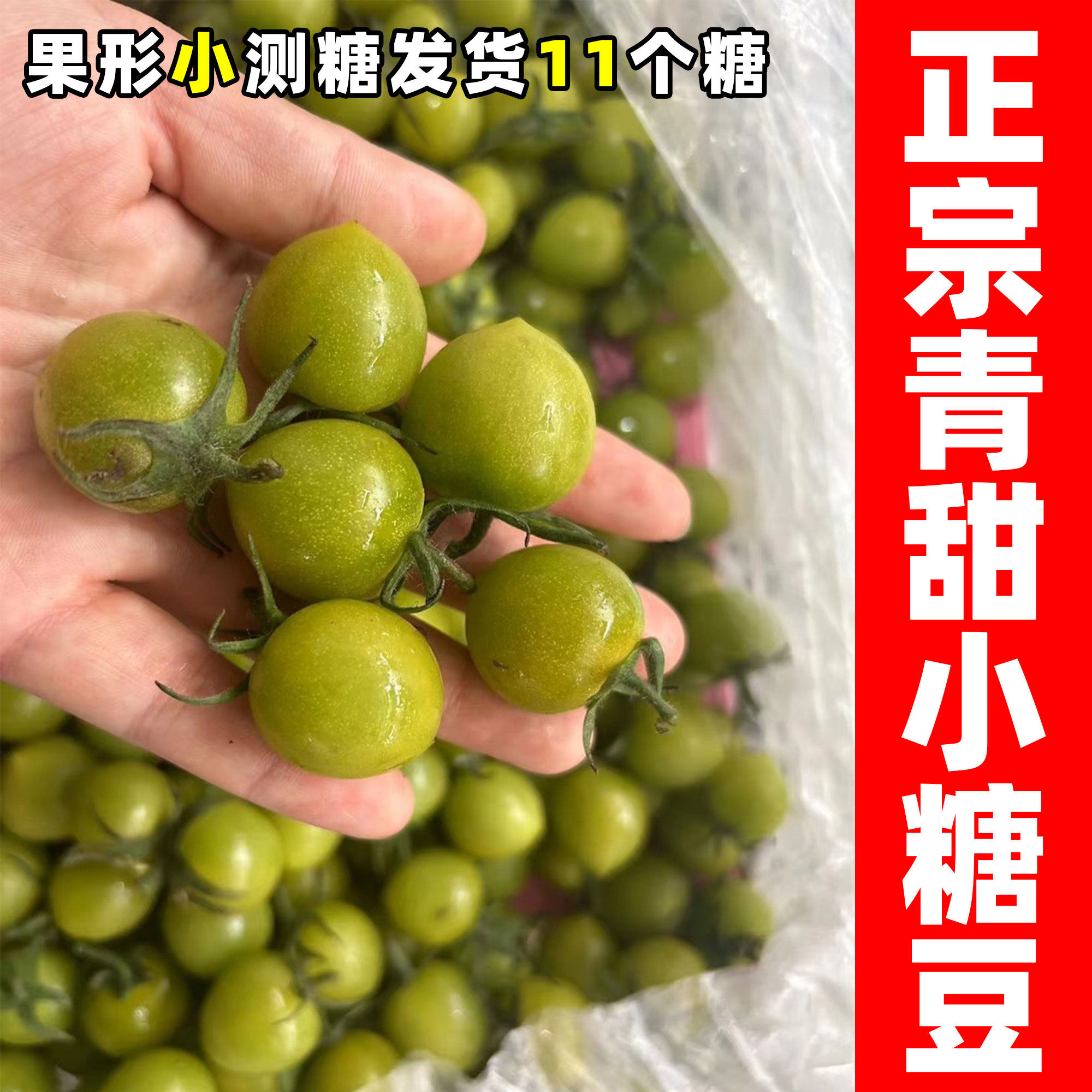 青甜2号小番茄山东果形小番茄青甜小糖豆新鲜圣女果绿色番茄包邮