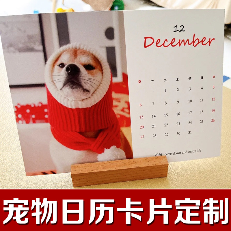 宠物日历卡片定制创意猫猫狗狗照片DIY年历卡萌宠月历卡明信片