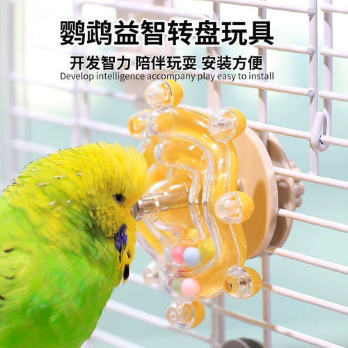 鹦鹉解闷啃咬转盘飞碟玩具