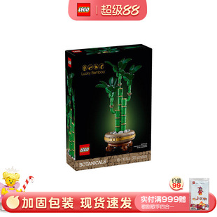 积木益智玩具 乐高ICONS系列10344富贵竹创意盆栽10343典雅兰拼装