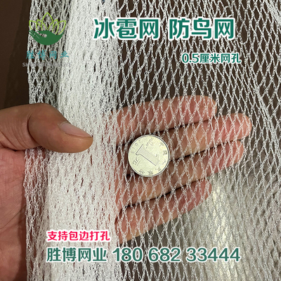 冰雹网果园防雹网果树防鸟网