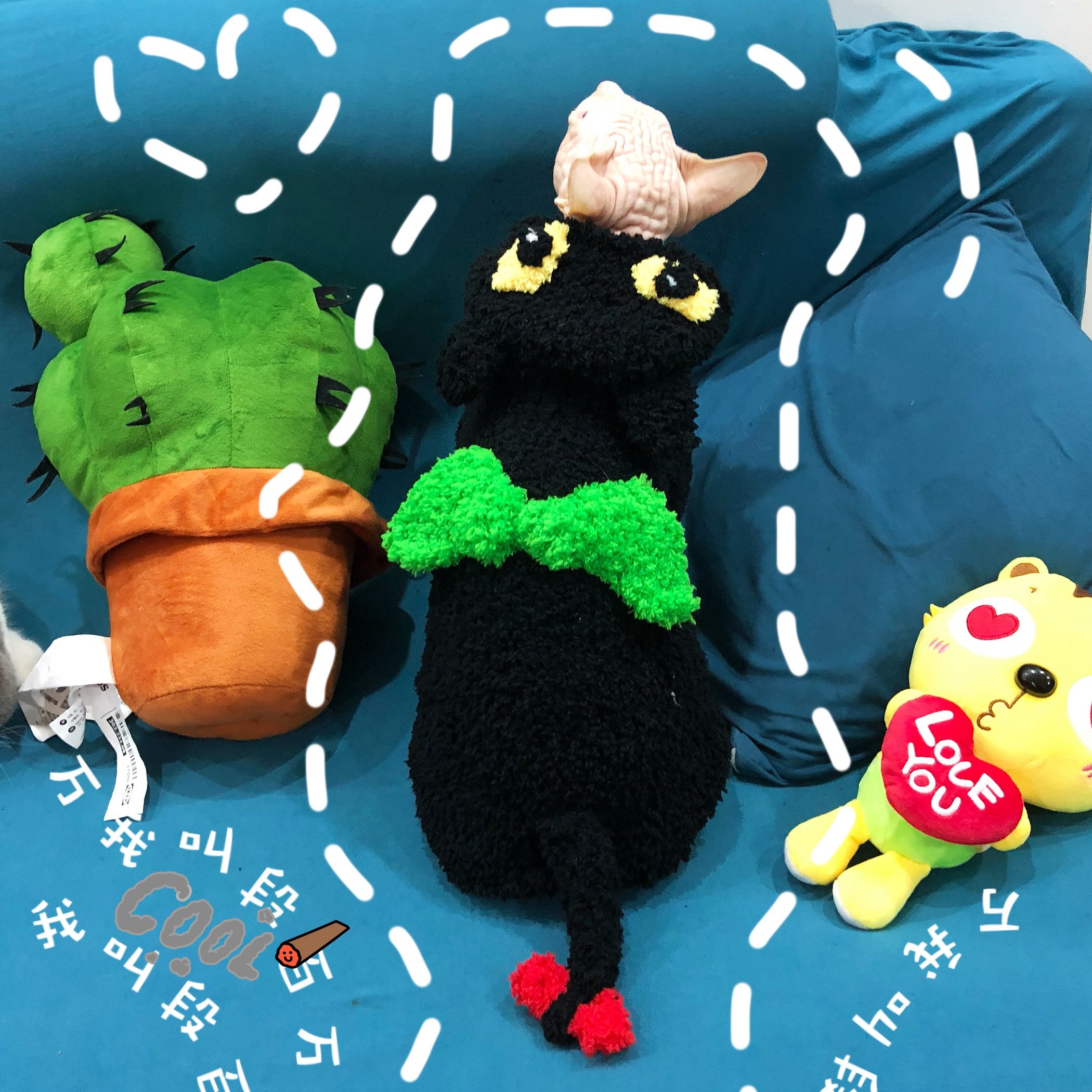 斯芬克斯无毛猫珊瑚绒夜煞无牙仔毛衣 英短德文宠物手工定制毛衣|msdalam kategori haiwan peliharaan/makanan haiwan dan bekalan, Haiwan pakaian dan aksesori, pakaian/Supplies adat (baru), haiwan pakaian - dari Buy2taobao.com untuk memberikan perkhidmatan ejen Taobao profesional membeli