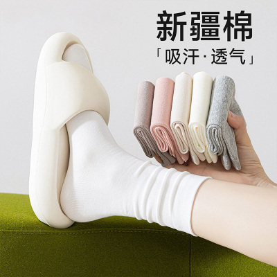 春夏女纯棉10A抑菌防臭中筒袜