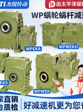 WPEKA WPEKS WPWEKO WPWEK 铁壳蜗轮蜗杆减速机变速齿轮箱波箱