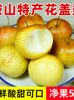 鞍山花盖梨5斤包邮 东北辽宁特产新鲜软梨子水果可做冻梨