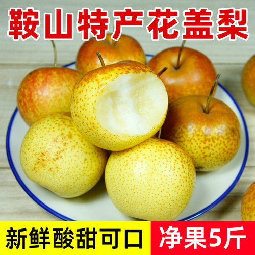 正宗鞍山特产花盖梨5斤包邮