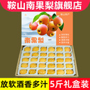 包邮 鞍山南果梨5斤 辽宁海城南国梨子特产新鲜水果 礼盒装