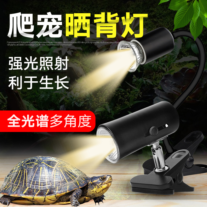 乌龟晒背灯太阳灯uva取暖