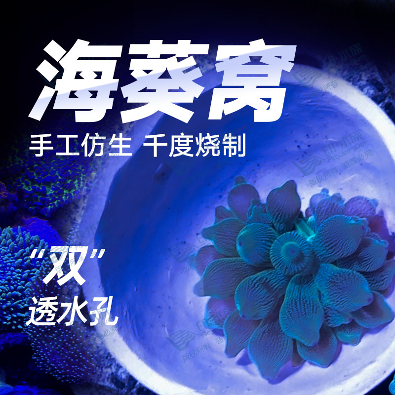 海葵窝海葵巢奶嘴固定防跑杯繁殖躲避罐海水缸鱼缸造景手工烧制