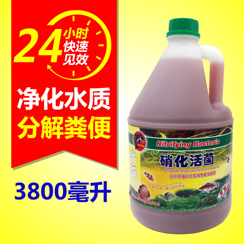 海豚硝化细菌水质澄清剂鱼缸安定剂3.8升大桶5升净水除氯养水培菌