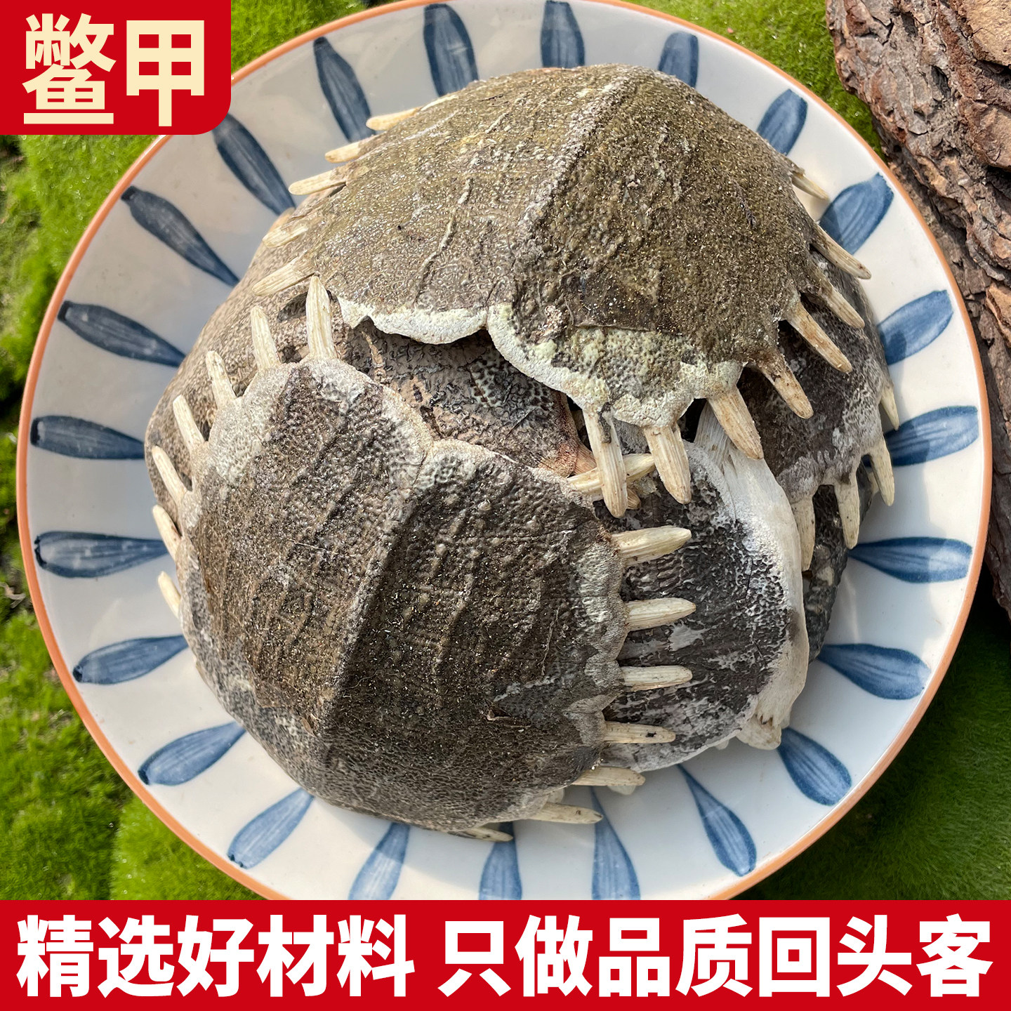 鳖甲正品生鳖甲鳖甲壳甲鱼壳鳖盖子王八壳 鳖甲粉艾灸鳖壳,传统滋补营养品,其他药食同源食品,淘宝优惠券,粉丝福利购,淘宝优惠卷