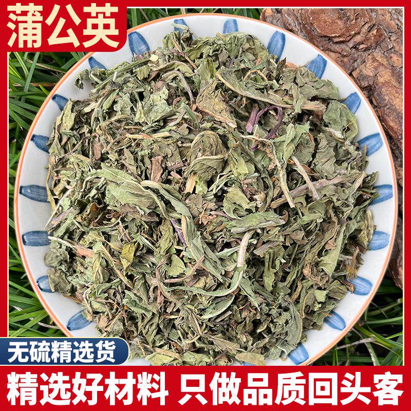 吉林蒲公英 整根蒲公英女性蒲公英根干货浦公英天然正品500g克