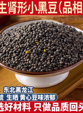 老种野生肾型黄心小黑豆500g药用小黑豆马科黑豆野料豆细黑马料豆