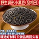 老品种肾型黄心小黑豆500g 药用野料豆细黑马料豆 小黑豆马科黑豆