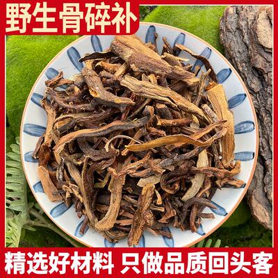 野生骨碎补中草药中药材