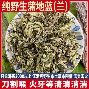 浙江野生蒲地蓝草 击炎击火大王泡茶煮水无硫 九头狮子草 九铜青