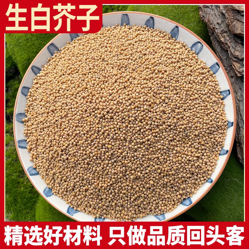 白芥子500g野生白芥子粉芥菜子辣菜子炒白芥子辣菜子