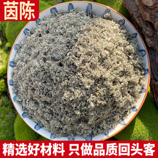 茵陈蒿茶新鲜白蒿因陈茵陈草茵陈干棉茵陈粉非野生绵茵陈