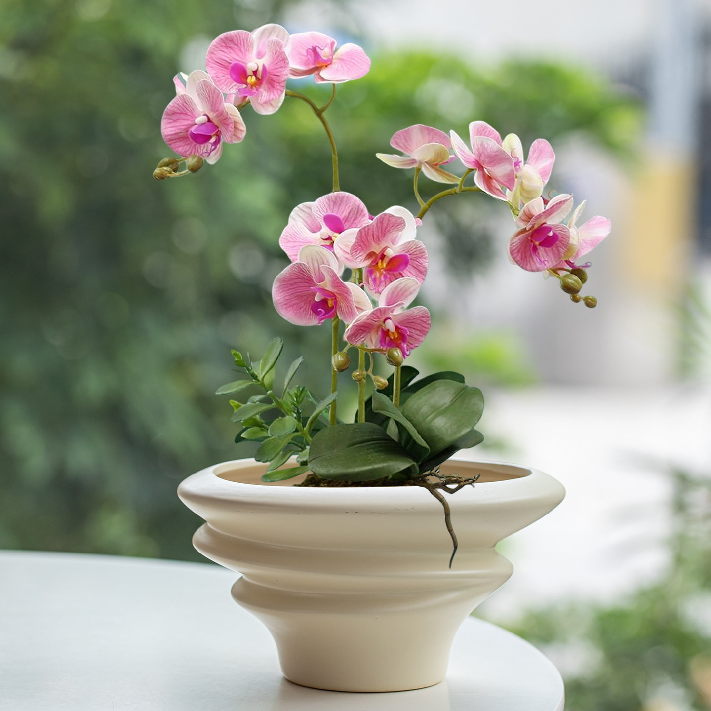 家用桌面透气文竹蝴蝶兰盆景简约高档中式个性花盆陶瓷大号绿植,鲜花速递/花卉仿真/绿植园艺,花盆,淘宝优惠券,粉丝福利购,淘宝优惠卷