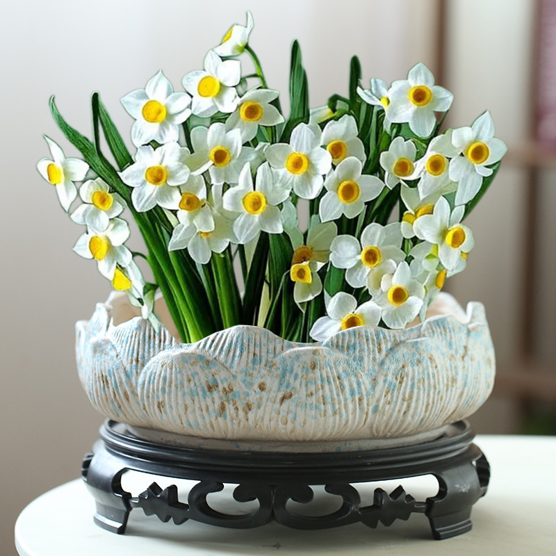 水仙花盆陶瓷大号无孔铜钱草专用一叶莲碗莲盆大口径水培器皿,鲜花速递/花卉仿真/绿植园艺,花盆,淘宝优惠券,粉丝福利购,淘宝优惠卷