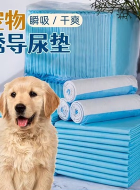 小狗诱导隔尿垫狗狗宠物吸尿纸加厚吸水小猫用尿片泰迪除臭100片
