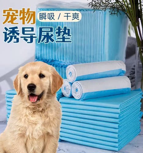 品猫咪狗狗幼犬可粘吸水