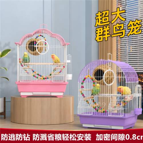 小鸟通用笼子防逃防钻防溅省粮
