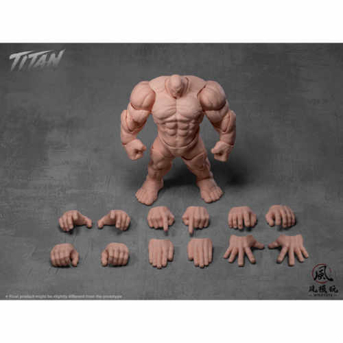 预定 定金 风模玩 Wind toys 泰坦 超可动 肌肉素体 手办 预定金