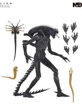 正版现货 国行NECA 夺命舰 终极异形 A1 金标可动7寸手办人偶