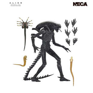 正版现货 国行NECA 夺命舰 终极异形 A1 金标可动7寸手办人偶