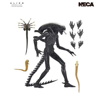 NECA夺命舰A1异形模型