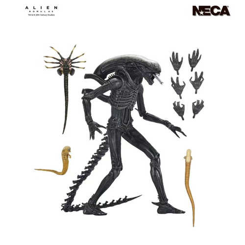 NECA夺命舰A1异形模型