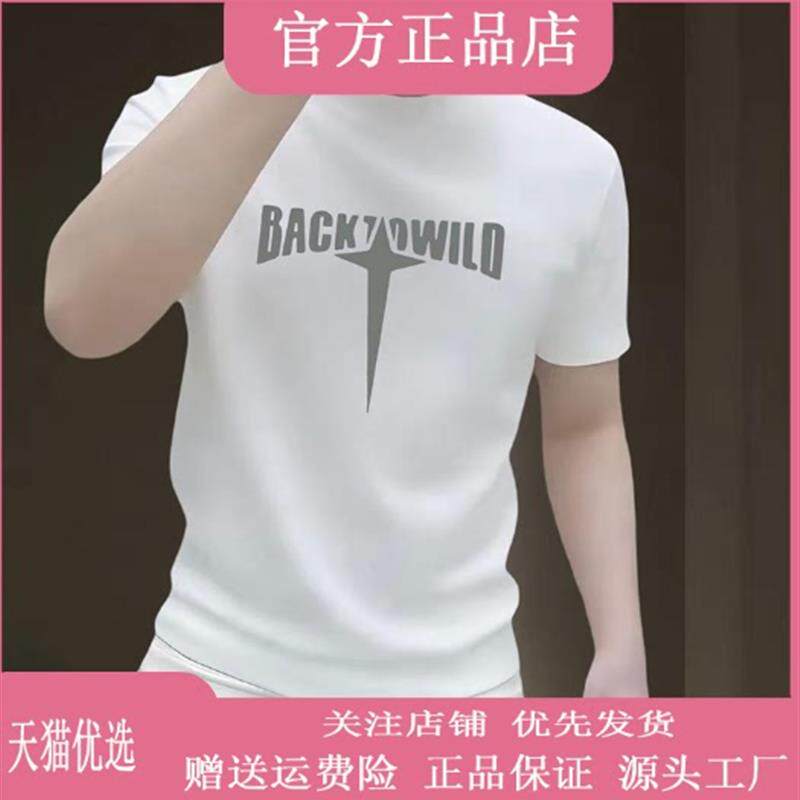 师凯服饰Amphelisia美式重磅纯棉短袖T恤男夏季潮牌痞帅圆领半袖