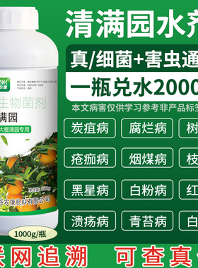 清满园清园剂果树恢复大棚蔬菜杀菌抑菌清满园正牌果树清园剂专卖