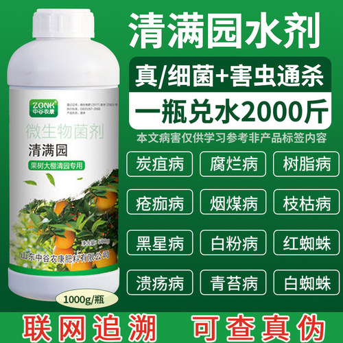 清满园清园剂果树恢复大棚蔬菜杀菌抑菌清满园正牌果树清园剂专卖