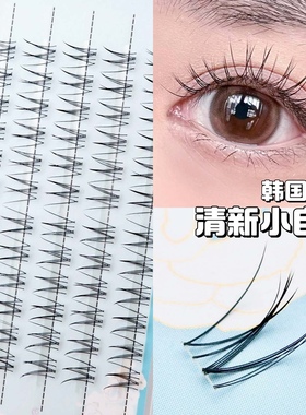 韩国女团假睫毛自然仿真清透分段式单簇卷翘清新新娘妆魅丽悦F112