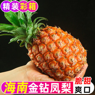 【速发包邮】海南芒果凤梨脆甜多汁海南台农17号金钻凤梨现摘现发