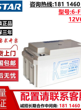 KSTAR科士达蓄电池12V65AH 6-FM-65 铅酸免维护蓄电池 UPS电源
