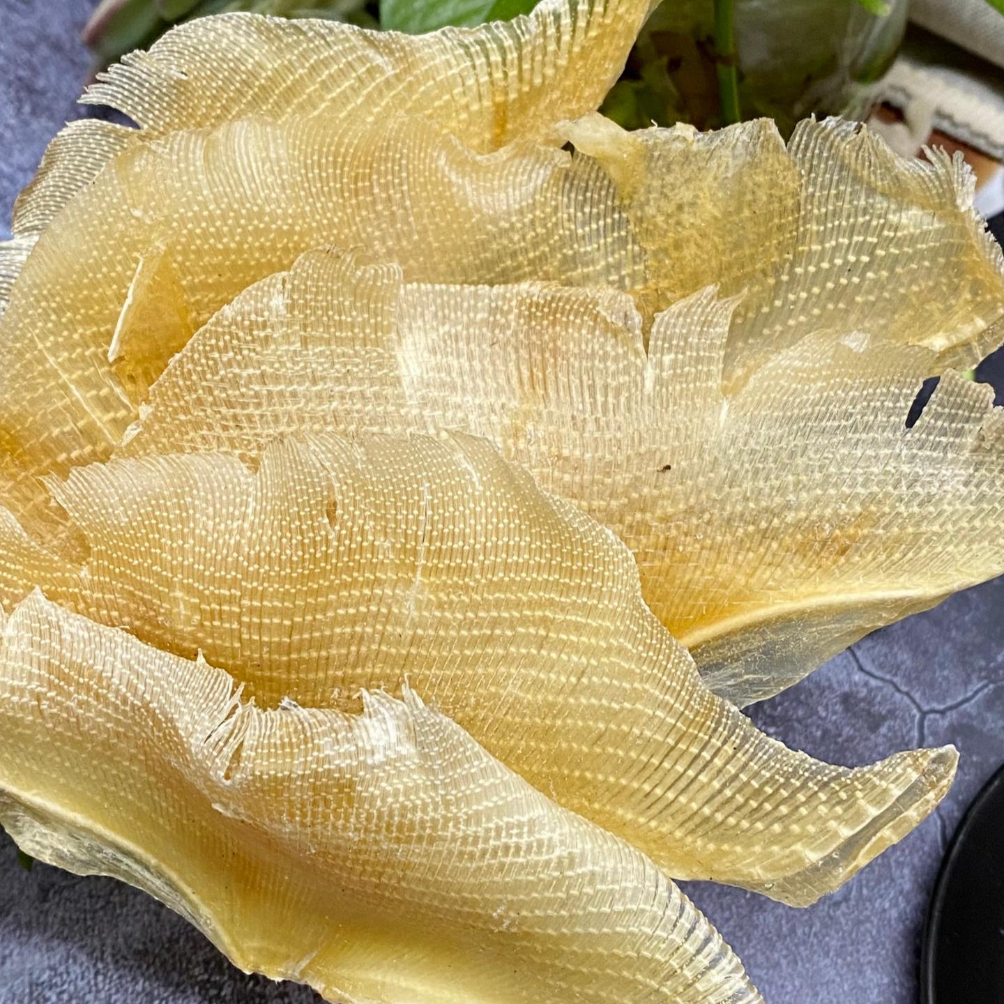 特大号深海滋补养生煲汤食材料 海狗翅浦鱼软骨翅 鮰鱼翅水产干货