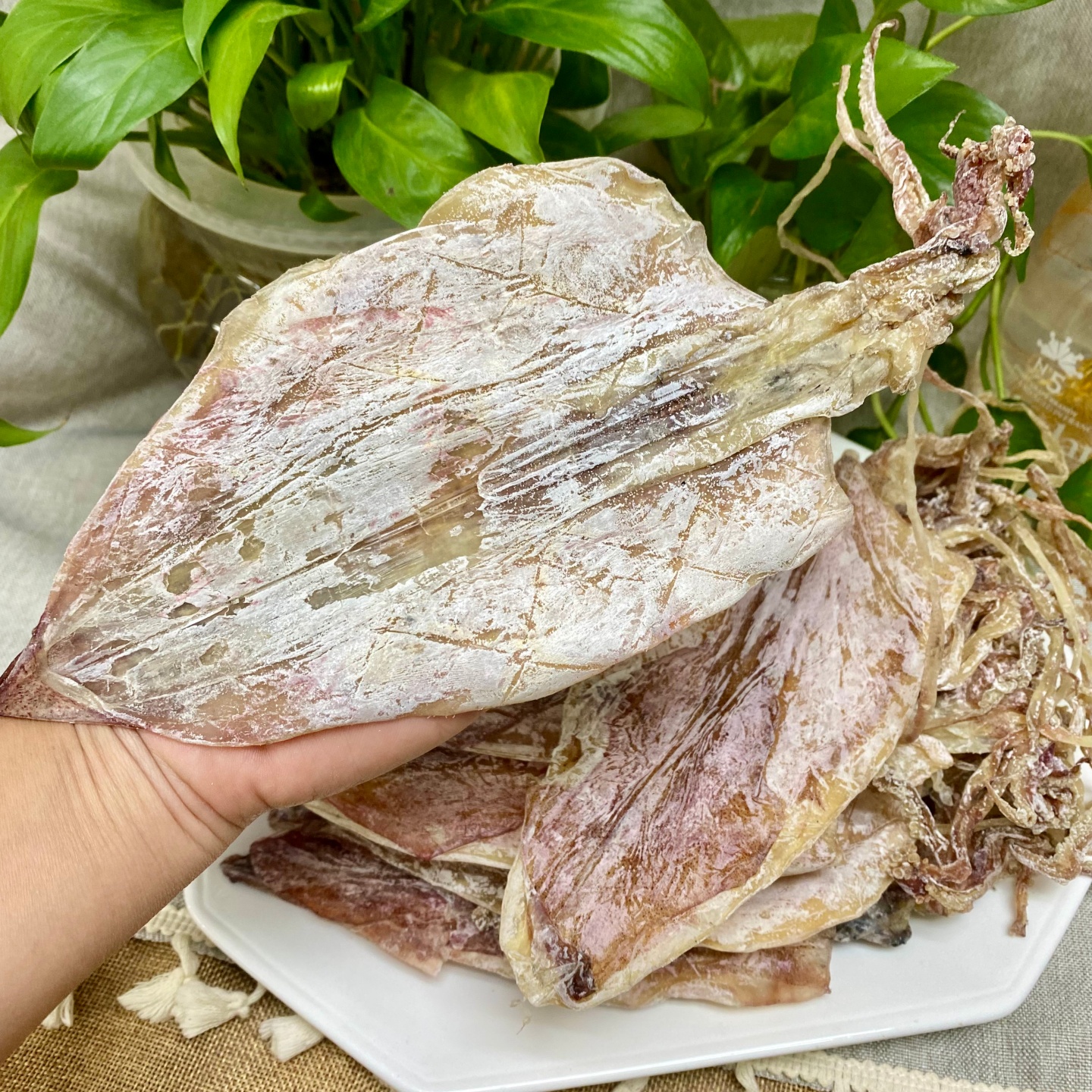 A1大鱿鱼500克 约9-10条淡晒烧烤鱿鱼干手撕鱿鱼干鱿鱼干海鲜干货