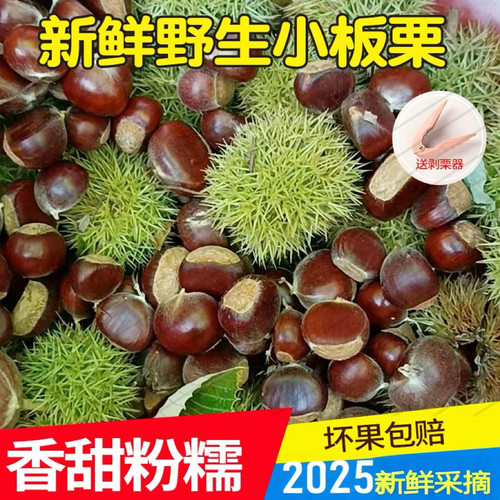 2025新鲜野生小毛栗子板栗生油栗陕西小板栗生栗送剥栗器5斤包邮
