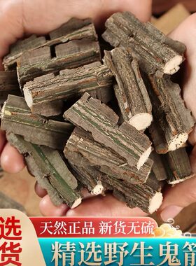 秦岭鬼箭羽陕西野生现采
