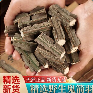 新货秦岭野生鬼箭羽中药材卫矛正品新鲜带枝鬼箭雨六月凌无硫500g
