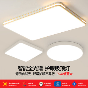 客厅大灯吸顶灯饰轻奢家用大厅主卧室吊灯具现代简约大气2025新款