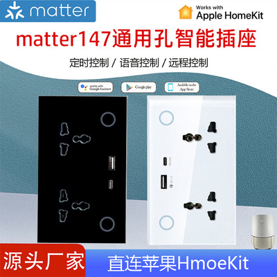 JRUMP智能开关Matter双圆孔插