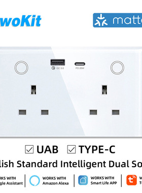 147英规双墙壁插座 Matter协议Homekit直连 13A带电量统计